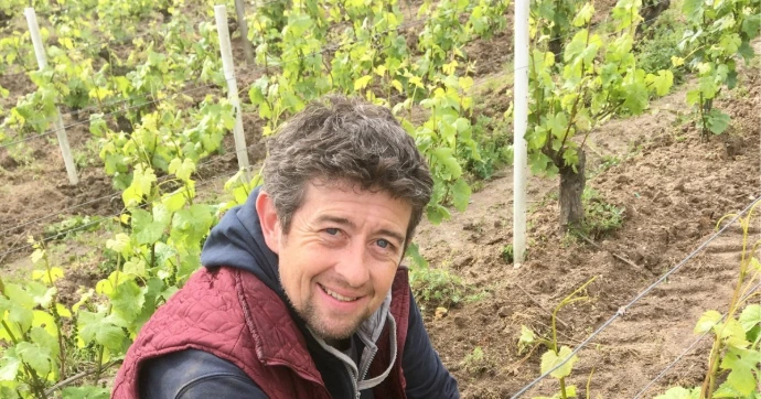 Les magnifiques vignes du Domaine Gael Félix ainsi que leurs propriétaires en Loire, les vins sont disponibles chez Wine-Side à Nivelles et en ligne.