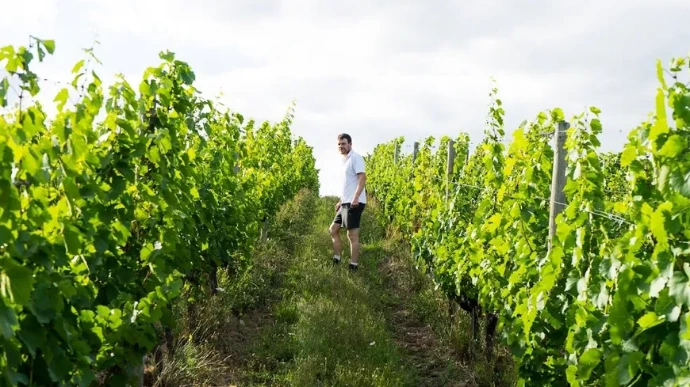 Vincent Giraudon dans ses vignes dans la vallée de la Loire, les vins sont disponibles sur le site de Wine-Side.