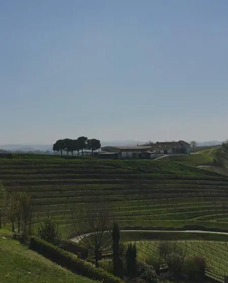 Le vignoble Ca Bianca situé dans le Piémont en Italie, nous vendons certains vins de ce domaine chez Wine-Side