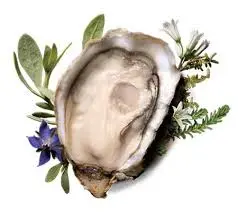 Mureau - Pousse en claire (12)