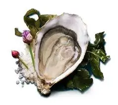 Mureau - Fines de claire (12)