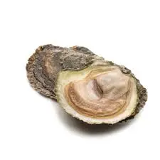 Sinke - La plate de Zélande (25)