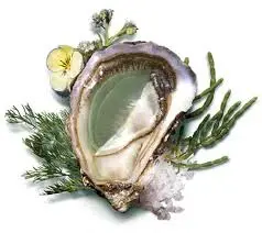 Mureau - Fine de claire verte (12)